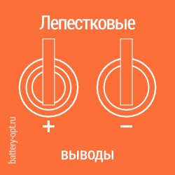 с лепестковыми выводами